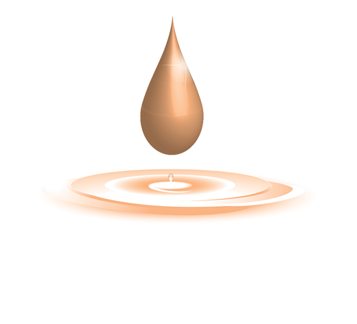 LOGO-FINAL blanc@0,5x